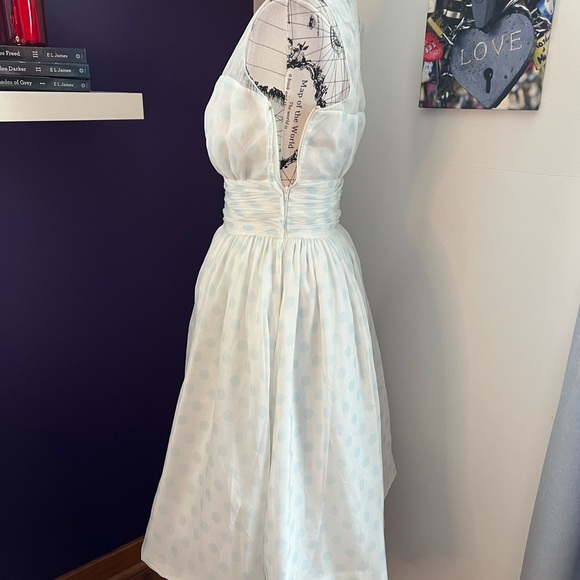 Geode Sleeveless Polka Dot Dress - Picture 5 of 12